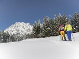 Snow Shoe Hike with Toboganing