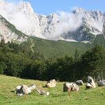 Wanderwoche - Wanderung zum Hintersteinersee