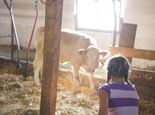 Spend a day at a local farm & and an afternoon with games