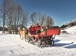 Horse-drawn carriage ride in Going 03:00 pm