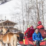 Kutschenfahrt zum Kennenlernen im Winter