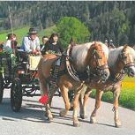 Kutschenfahrt zum Kennenlernen im Sommer