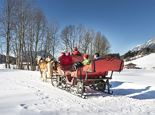 Kutschenfahrt zum Kennenlernen