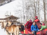 kaiser weeks - horse drawn carriage ride