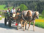 Kutschenfahrt zum Kennenlernen