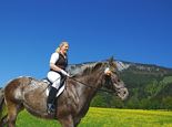 Exciting trip to the horse farm Hochfilzer