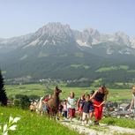 Llama trekking