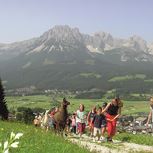 Spend a day at the Llama farm