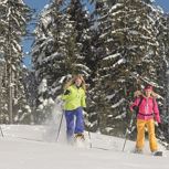Schneeschuhwanderung für Einsteiger