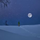 Snowshoeing in the evening