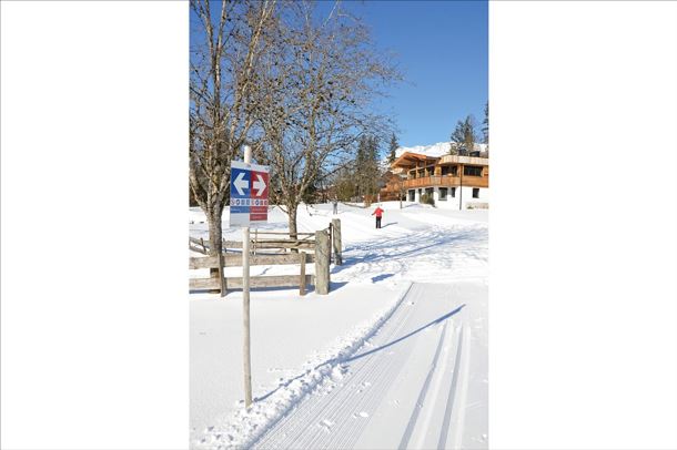 Blattlloipe_Daniela Pfeiler_(11)_bearbeitet.jpg