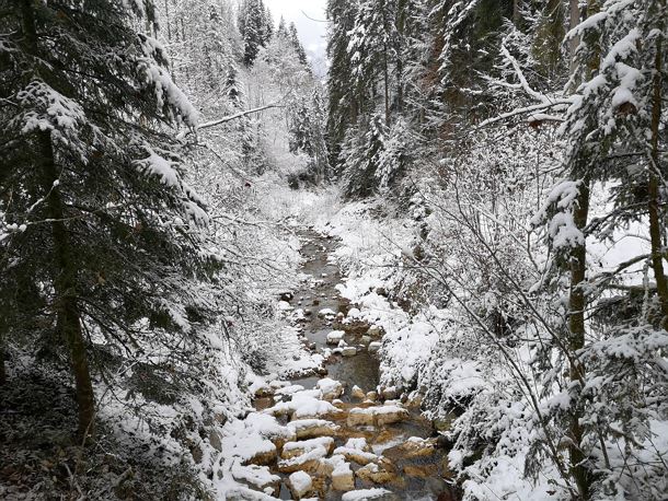 Scheffau_GlasklareBäche_Winterrunde_2021_TVB Wilder Kaiser (4).jpg
