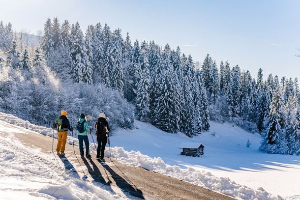 Wilder_Kaiser_Waldbaden_Winterwandern_Scheffau_Winter24_SabineHolaubek (64)klein.jpg