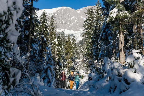 Wilder_Kaiser_Waldbaden_Winterwandern_Scheffau_Winter_SabineHolaubek.jpg