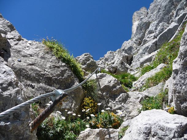 Gamsängersteig