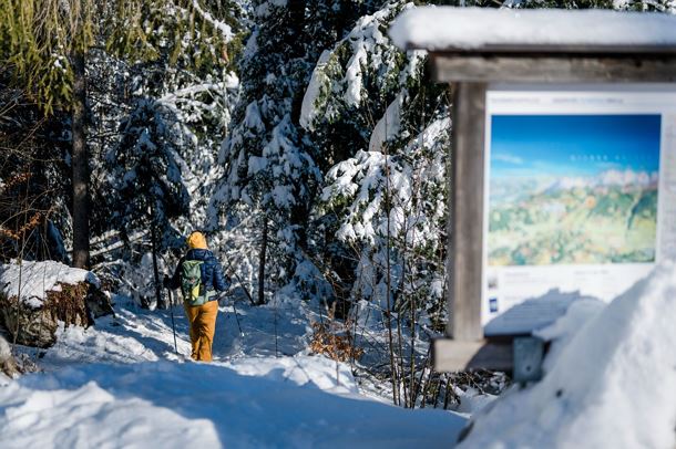 Wilder_Kaiser_Waldbaden_Winterwandern_Scheffau_Winter24_SabineHolaubek (46)klein.jpg