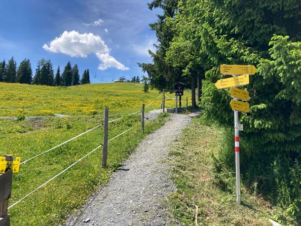 Going_Astberg_Tafel_Sommer2021_Celina_Zittner (2).JPG