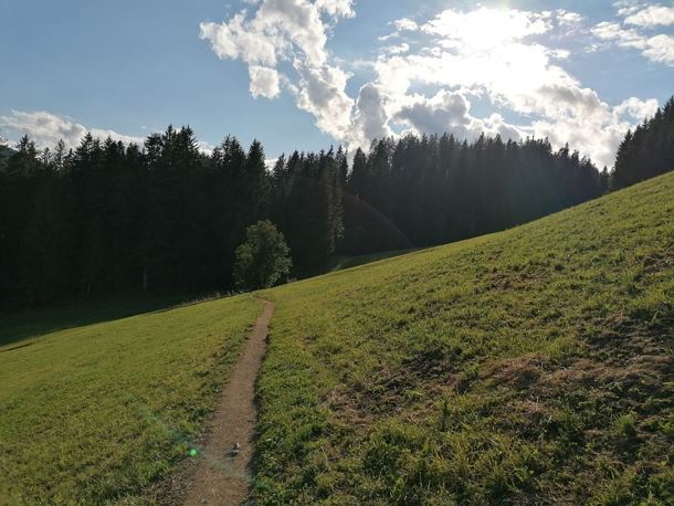 Going_Weg_Nr9_zwischen_Kathen_und_Astberg_Sommer2021_Daniela_Pfeiler (6).jpg
