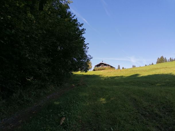 Going_Wandern_Hollenauer_Kreuz_Runde_Weg_Nr6_Sommer2021_Daniela Pfeiler (4).jpg