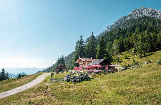 Steiner Hochalm_Scheffau_Foto Stefan Leitner (2)_72dpi_2000px.jpg