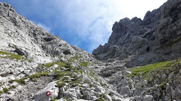 20170813_122221.jpg