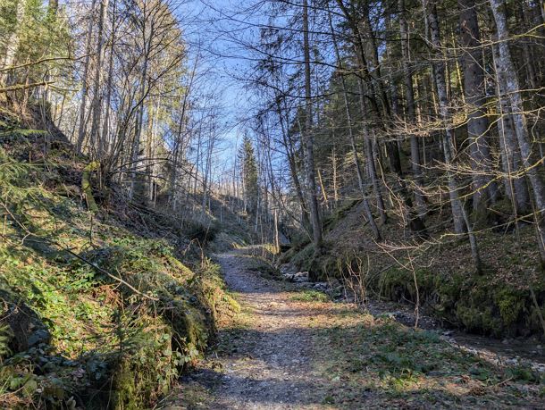 Scheffau_Ötting-Horngach-Runde_März_2025_TVB Wilder Kaiser (10).jpg