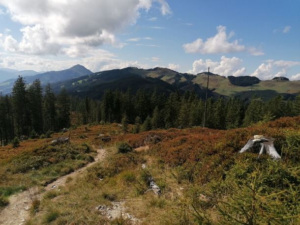 Going_Wandern_Rauher_Kopf_Weg_Nr9_Sommer2021_Daniela_Pfeiler (1).jpg