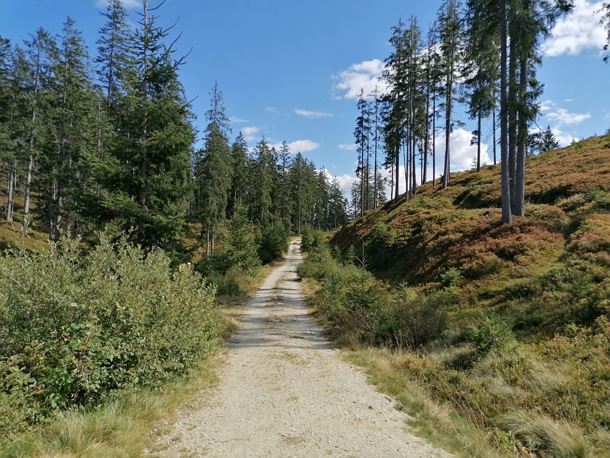 Going_Wandern_Rauher_Kopf_Weg_Nr9_Sommer2021_Daniela_Pfeiler (5).jpg