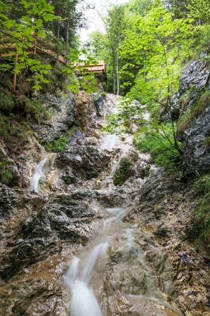 Rehbachklamm_Scheffau_Foto von Felbert_Reiter (32).jpg