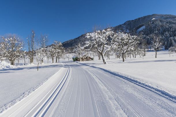 Schattseitloipe_Soell_Foto Martin Raffeiner (9).jpg
