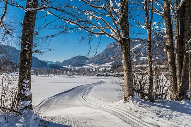 Schattseitloipe_Soell_Foto Martin Raffeiner (12)_1920px.jpg