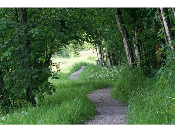 Durch Wald und Wiesen
