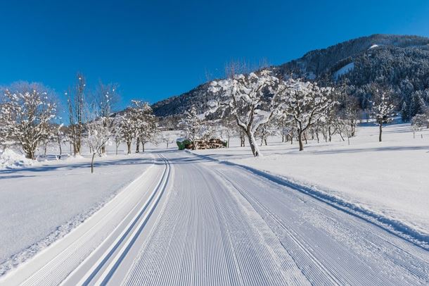 Schattseitloipe_Soell_Foto Martin Raffeiner (9)_1920px.jpg
