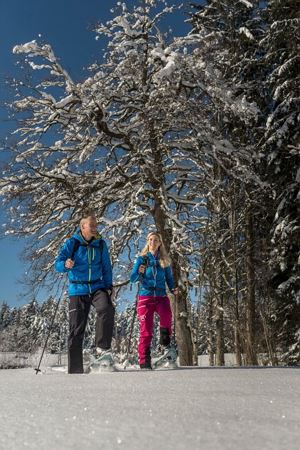 Söll_Schattseit Schneeschuhtour_Wilder Kaiser_Foto von Felbert_Reiter (10)_1920px.jpg