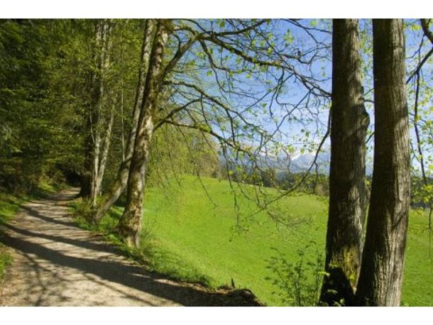 Sunnseitweg