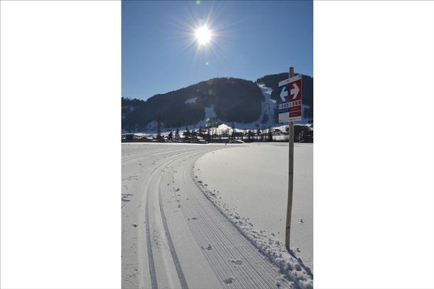 Blattlloipe_Daniela Pfeiler_(12)_bearbeitet.jpg