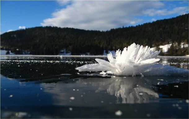 Eiskristall am Hintersteiner See_Scheffau_TVB Wilder kaiser.jpg