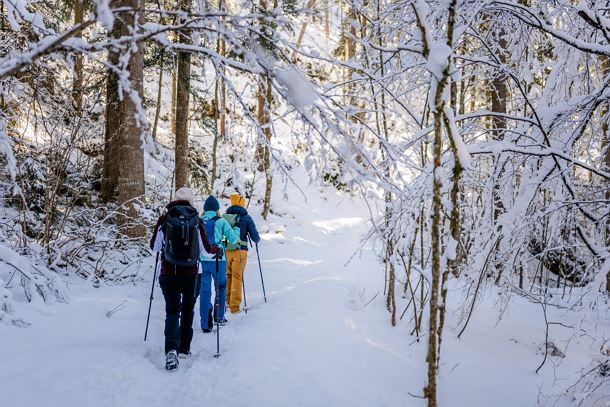 Wilder_Kaiser_Waldbaden_Winterwandern_Scheffau_Winter24_SabineHolaubek (52).jpg