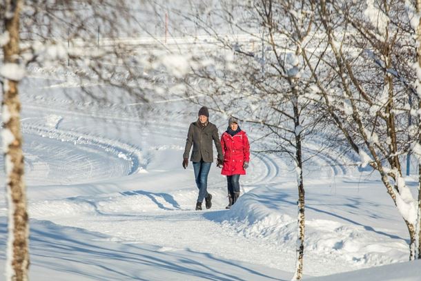 Winterwandern_Wilder Kaiser_Foto Roland Defrancesco (11)_1920px.jpg
