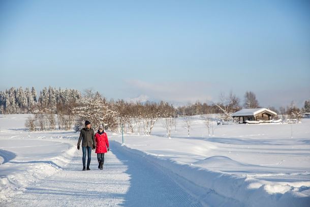 Winterwandern_Wilder Kaiser_Foto Roland Defrancesco (37)_1920px.jpg