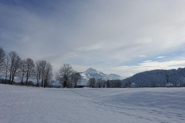 Genusswanderung_24.01 (85).jpg