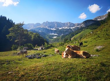 Kaiseralm round hike