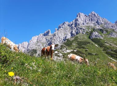 Kleines Törl