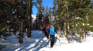 Bruggenmoos circular snowshoe hike