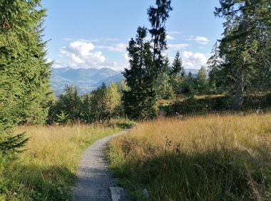 Schwaiglerkogel circular hiking route