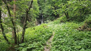 Waterfall in the Breuergraben