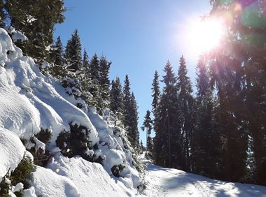 Winterwunderland - Runde auf die Biedringer Platte