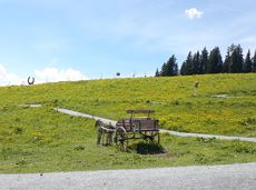 Hausberg circular hiking route