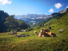 Kaiseralm round hike