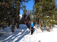 Bruggenmoos circular snowshoe hike